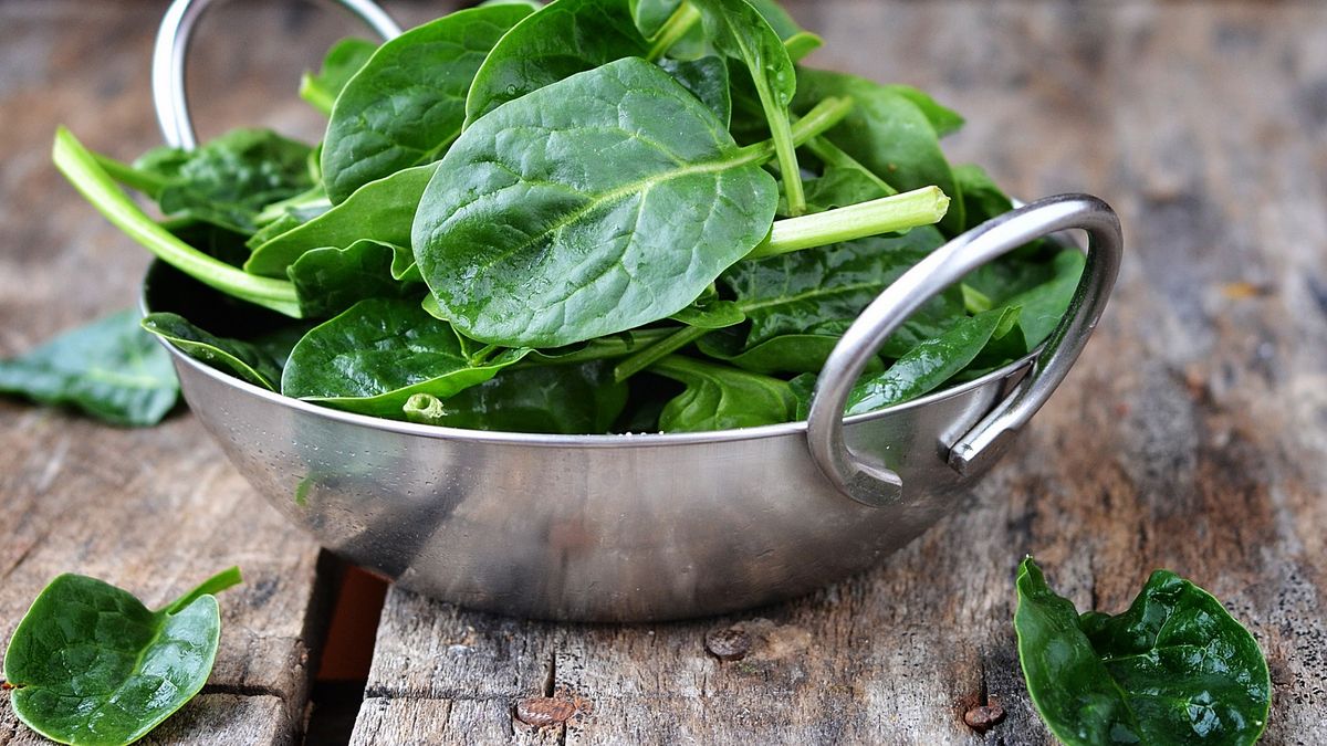 Szpinak i jego supermoce: ta roślina może działać jak wykrywacz materiałów wybuchowych 1