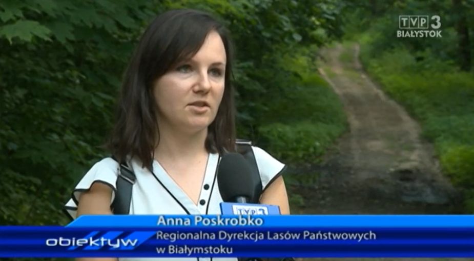 Materiał TVP stał się hitem sieci 