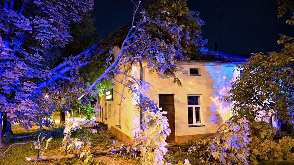 Dębnica - zniszczenia po nawałnicy