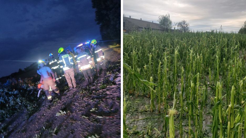 Nawałnica zniszczyła tysiące hektarów upraw rolniczych w woj. świętokrzyskim