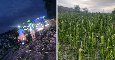 "Tam już nic nie zostało". Horror u rolników trwał równo 15 minut