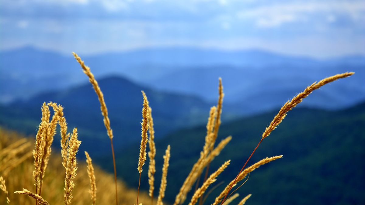 Pogoda na wakacje. Jaka będzie pogoda w lecie?