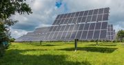 Wiesz, jak wykorzystać energię słońca? Przed tobą 15 trudnych haseł
