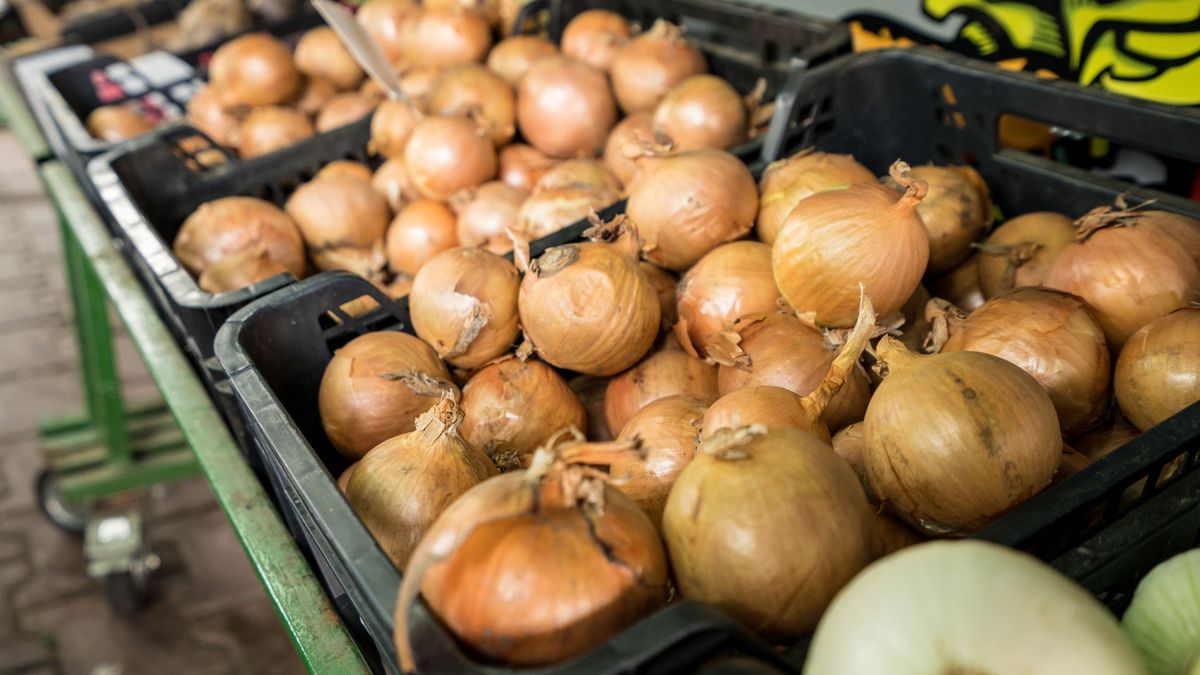 bazar warzywa cebula