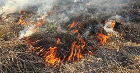 Pożar suchych traw przy ul. Turystycznej w Lublinie. Cztery zastępy straży pożarnej na miejscu