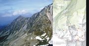 Tatry. Zamknięte szlaki. Niedźwiedzica wyprowadza młode