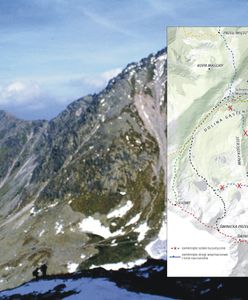 Tatry. Zamknięte szlaki. Niedźwiedzica wyprowadza młode