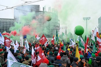 Protest przed Parlamentem Europejskim. Zatrzymano dwóch Polaków