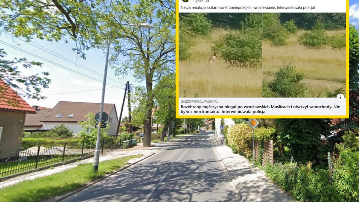 Nagi mężczyzna biegał po ulicy Brodzkiej. Zdj. ilustracyjne 