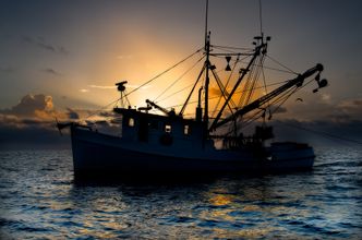 Rybołówstwo na Bałtyku. Unijni ministrowie ustalili kwoty, ekolodzy zawiedzeni