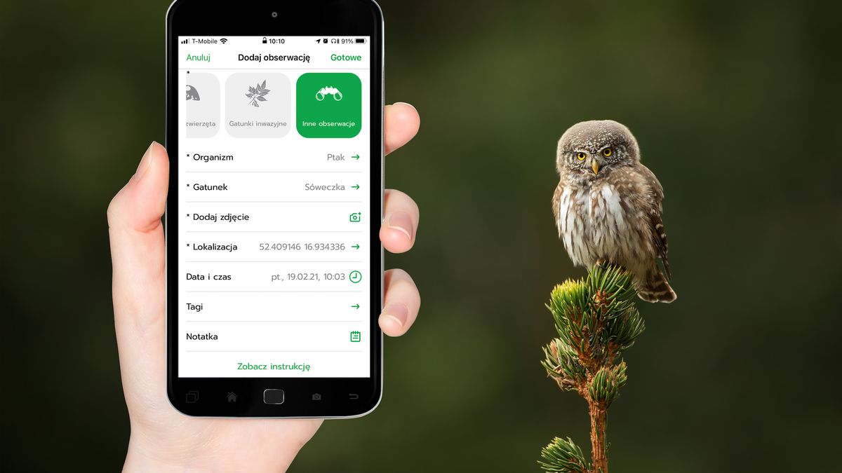 Zabierz smartfon do lasu. Badacze proszą o pomoc 1