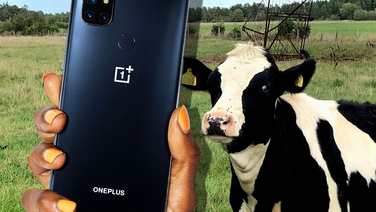 OnePlus wprowadził tańszy telefon. Tymczasem cena poprzedniego... poszła w górę 1