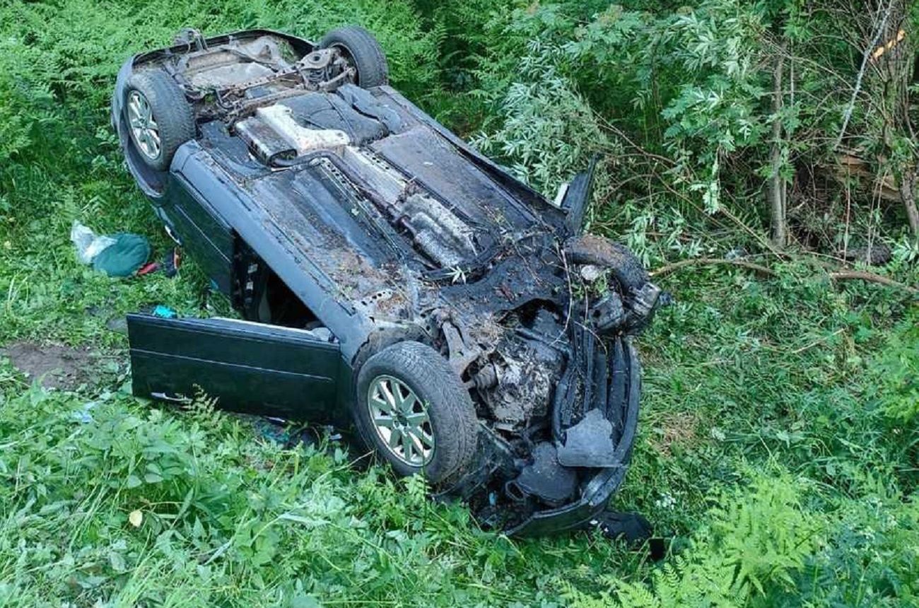 Tragiczne zderzenie z łosiem. Kierowca nie miał szans