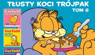 Garfield. Tłusty koci trójpak. Tom 6