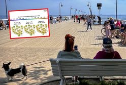 Prognoza pogody na majówkę 2025. Jaka będzie temperatura?