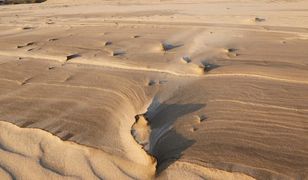 Польська Сахара - найбільша пустеля в Європі
