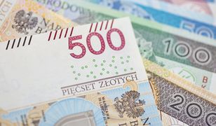 500 плюс у Польщі. Найчастіші помилки у заповненні заявки