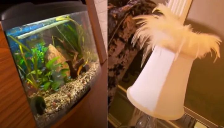 Tak mieszkają Zenek i Danuta Martyniukowie