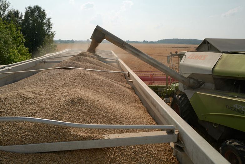Ukraińscy rolnicy uważają, że ich zboże w Polsce nie zostanie. Chcą jedynie tranzytu