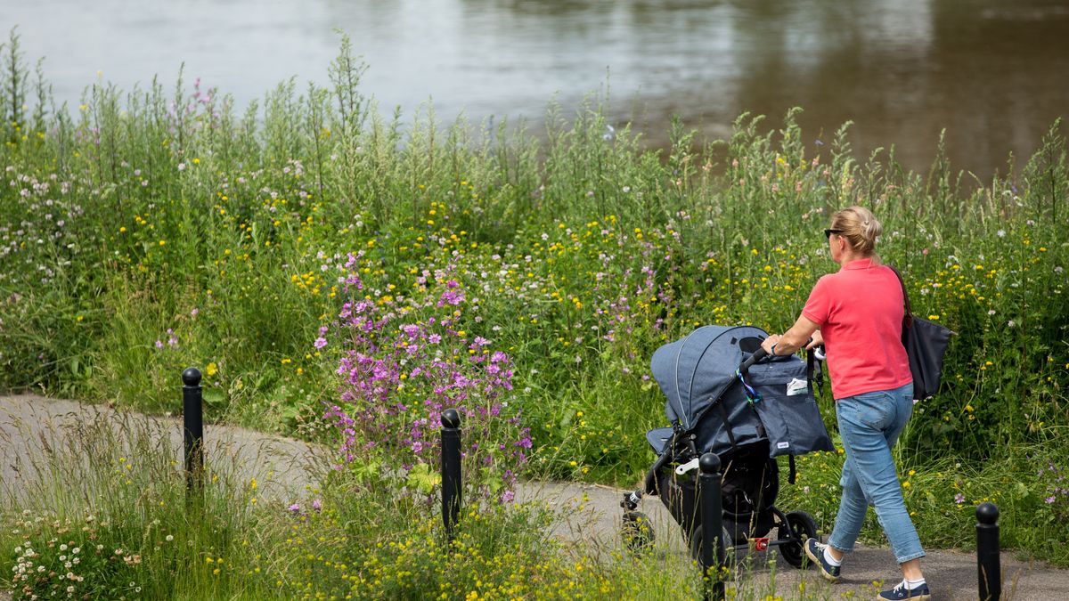 Niemcy: 300 euro dla rodziców na przeciwdziałanie COVID-19