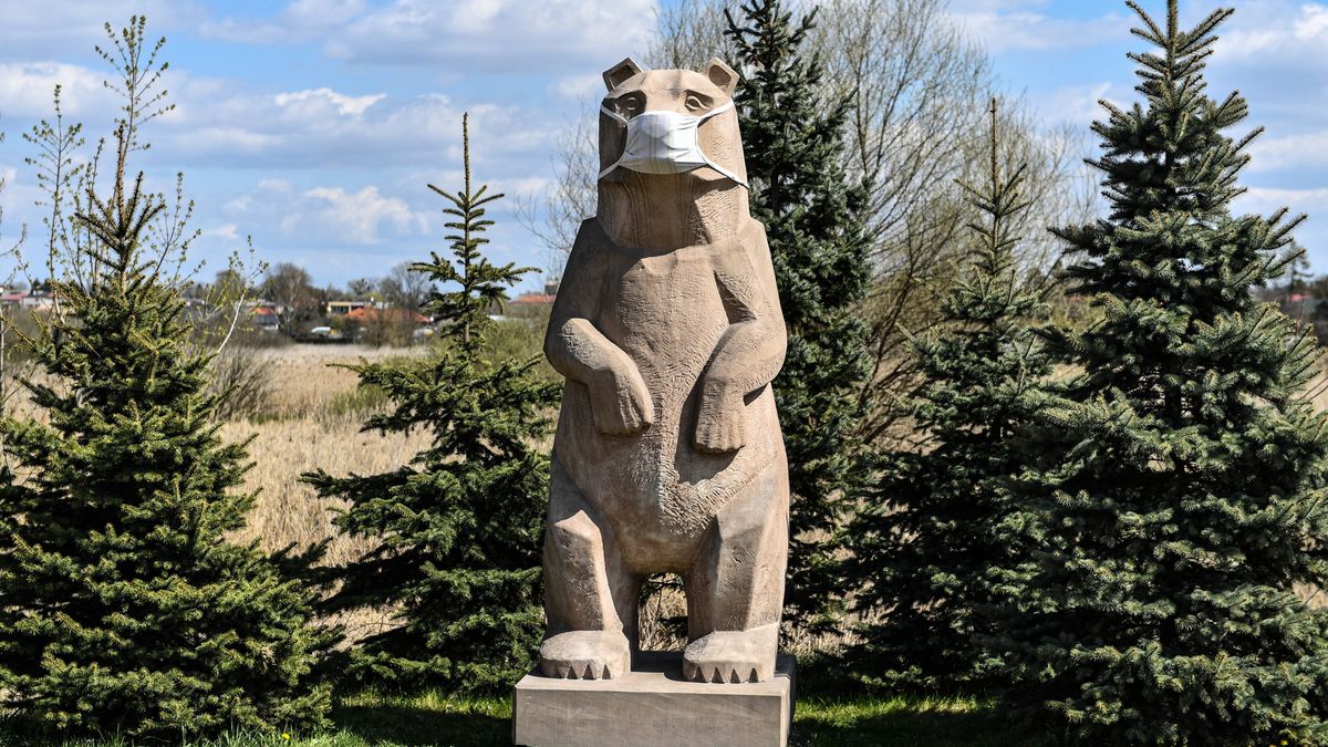 Koronawirus w Polsce. Czy w lesie trzeba zakładać maseczkę?