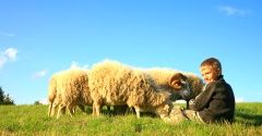 Polska - agroturystyka coraz bardziej popularna