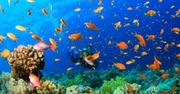 Marsa Alam - raj dla miłośników sportów wodnych