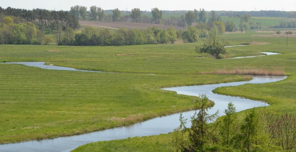 Wielka bitwa z epoki brązu w dolinie rzeki Tollense