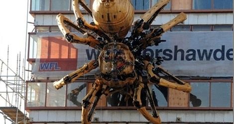 Gigantyczny pająk na północy Anglii