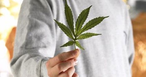 Narkotyki: marihuana i haszysz