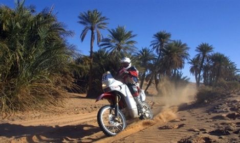 Rajd Dakar 2012 z metą w Limie