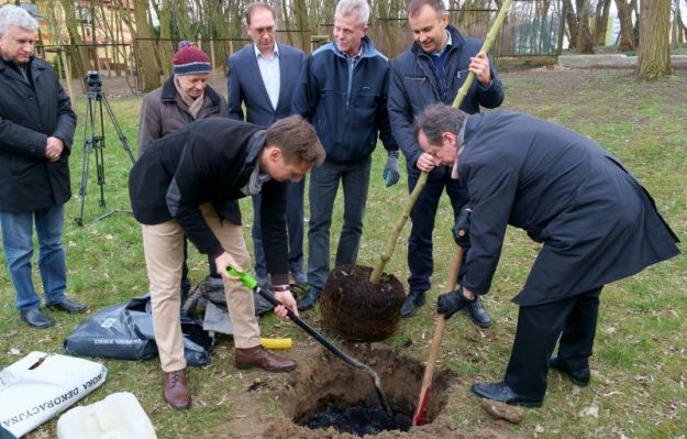 Radny opozycji wyciął swoje drzewa i poszedł protestować przeciw Lex Szyszko