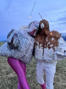 Concrete Chickens rozweselają Polskę. Jak to jest być gołębiem? [WYWIAD]
