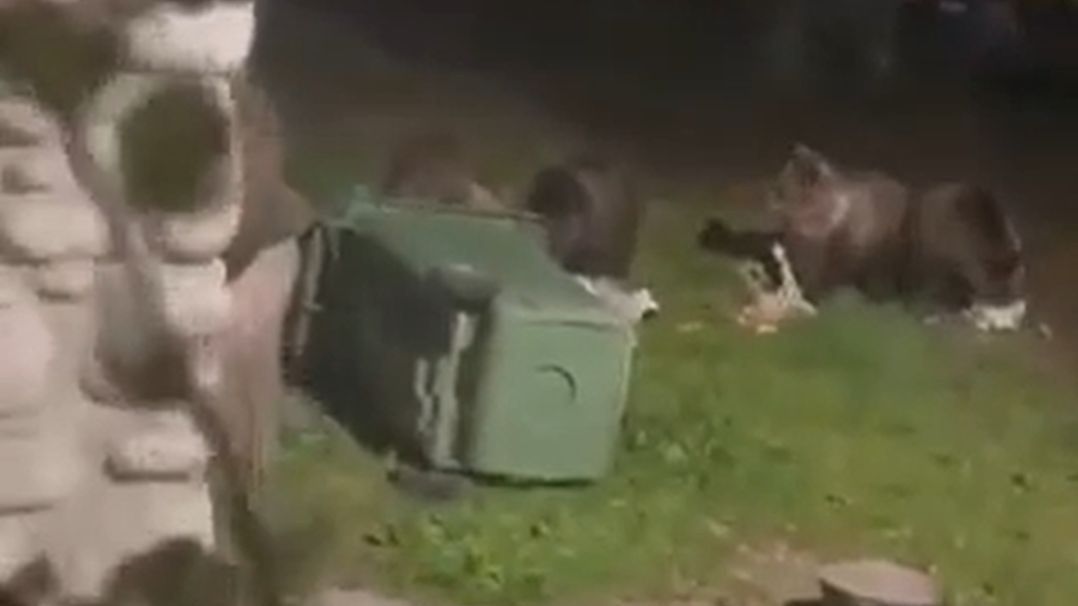 Góral od razu chwycił za telefon