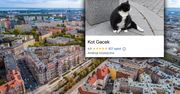 Kot Gacek to żywa atrakcja Szczecina. "Warto było jechać trzy godziny"