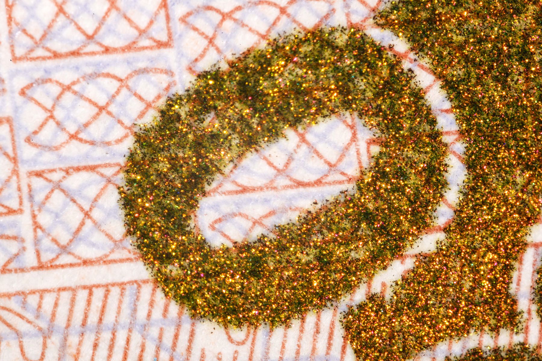 Mitakon 20mm F2 4.5x Super Macro - zanurz się w świecie makro 9