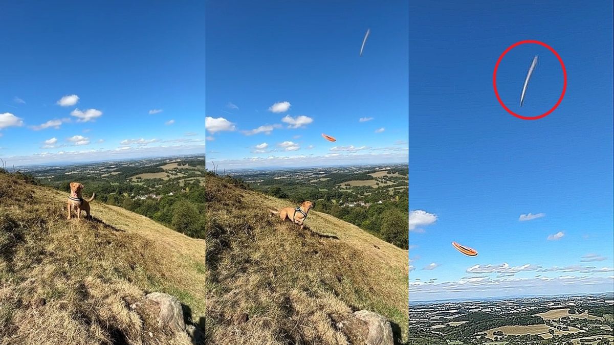 Podczas zabawy z psem uchwycił przypadkiem dziwny obiekt