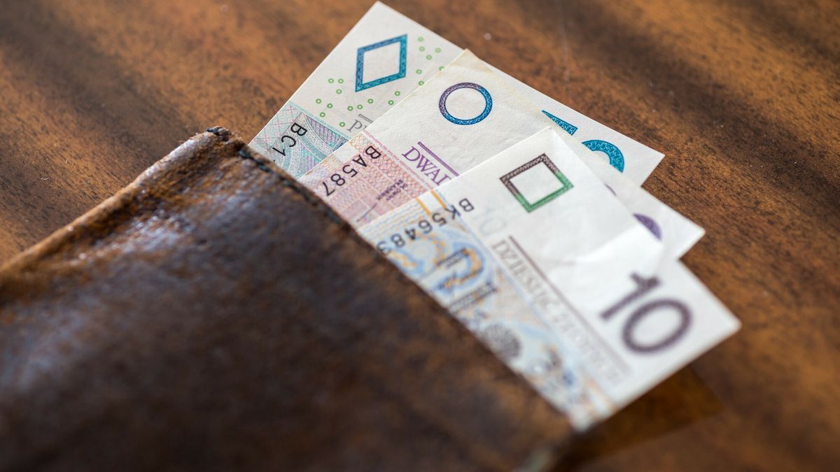 Stock ArZifot: Arkadiusz Ziolek/ East News.  n/z Portfel na tle pieniedzy.ARKADIUSZ ZIOLEK