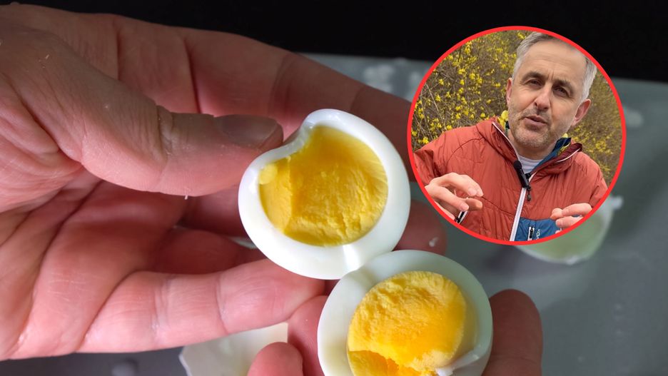 Lekarz o podawaniu jajek niemowlętom