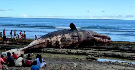 Niepokojące odkrycie na plaży. Oto co wyrzuciły fale na brzeg
