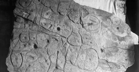 Starożytna "mapa skarbów". Ukryta na kamieniu sprzed 4000 lat