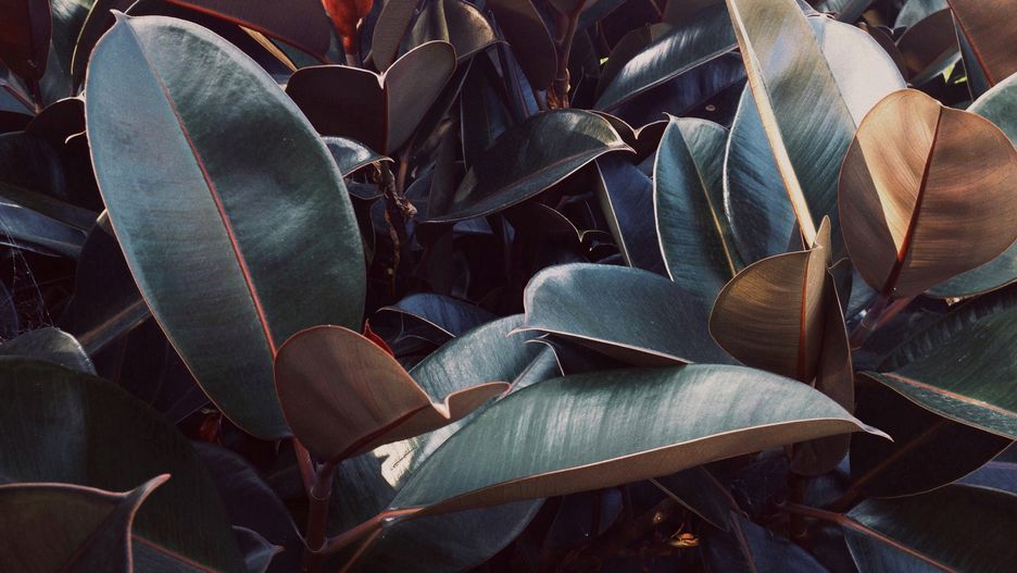 Unsplash, fot. Eric Fiori