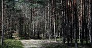 Nieoczekiwany zwrot ws. kontrowersyjnego projektu! To jednak nie...