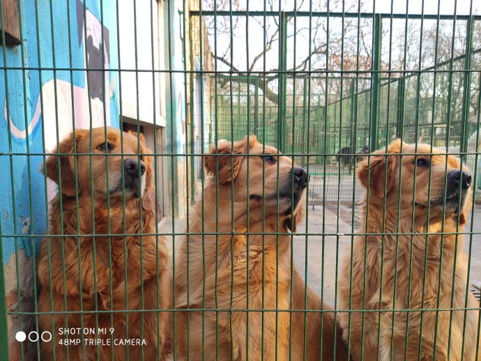 #wSkrócie: Xiaomi Mi 9 i Samsung Galaxy S10 Plus na zdjęciach oraz smartfon z baterią 18 000 mAh 6