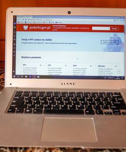 Hakerzy zaatakowali polski portal podatki.gov.pl