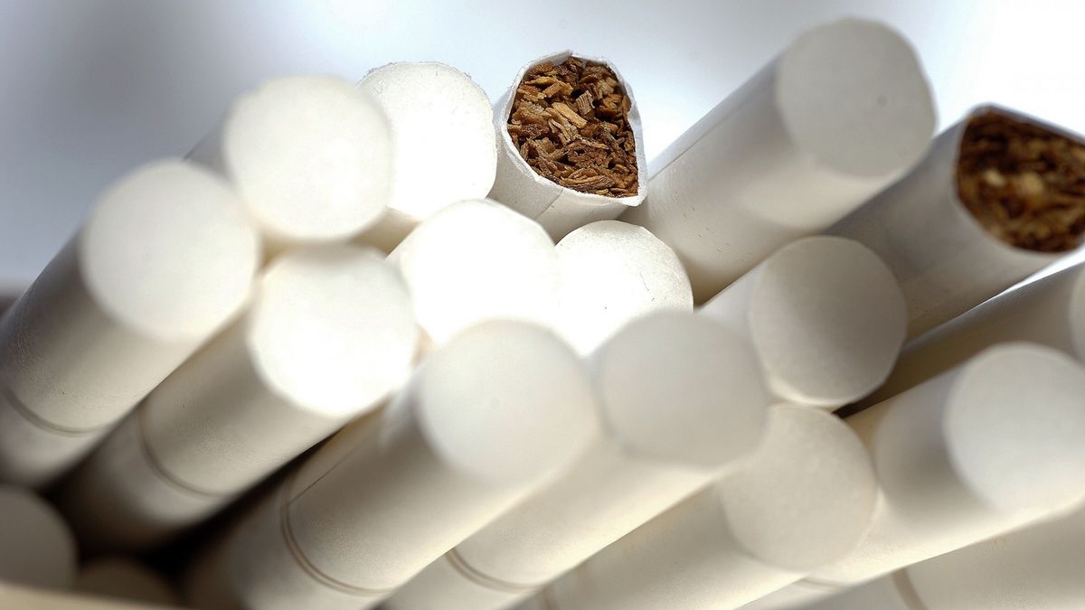 Branża tytoniowa wygenerowała 28,7 mld zł dochodów z podatków w 2019 r.