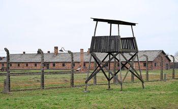 Skandaliczna aukcja zniknęła z sieci. Jest reakcja niemieckiego ambasadora