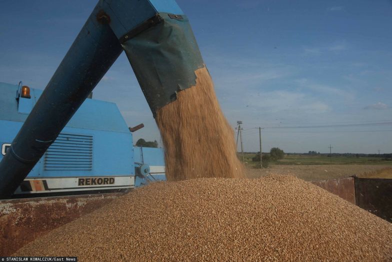 Wyższe cła na import zbóż z Rosji i Białorusi. Ruch Komisji Europejskiej
