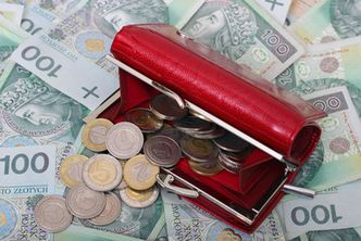 Akcjonariusze zdecydowali co zrobią z 3,56 mln zł zysku