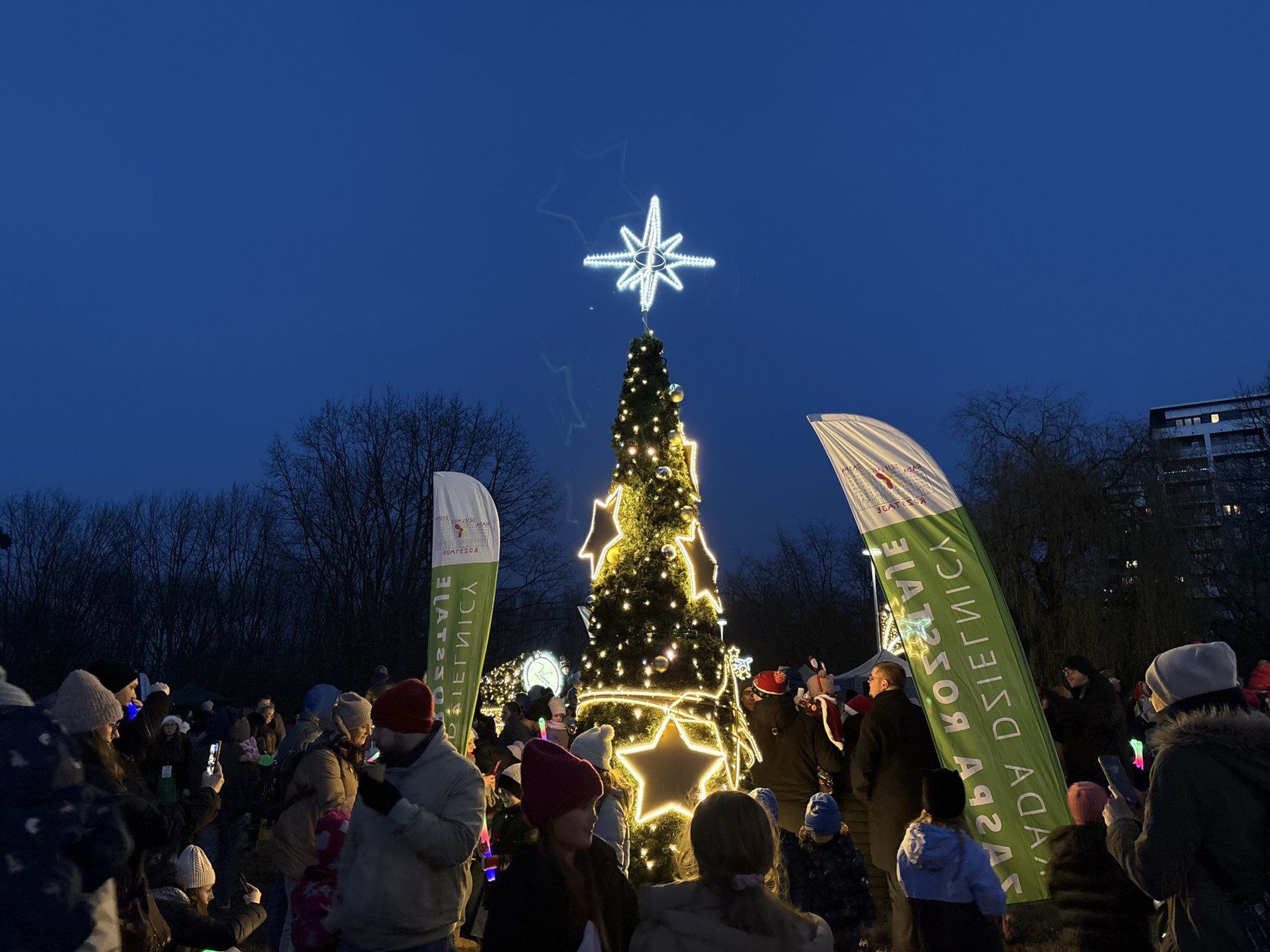 Na gdańskiej Zaspie zapalono lampki na choince!